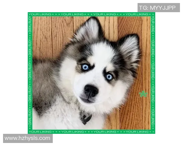 小罗独特发型揭秘：如何打造足球明星的时尚风格与个性魅力